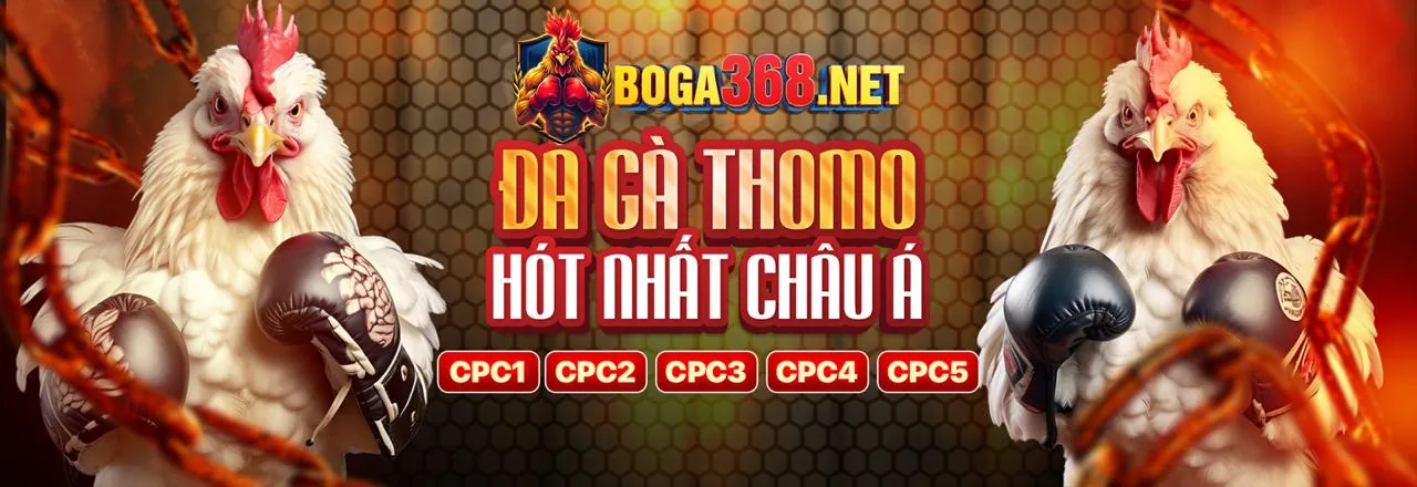 Tổng quan các môn thể thao và lựa chọn cá cược đa dạng tại fu88 web